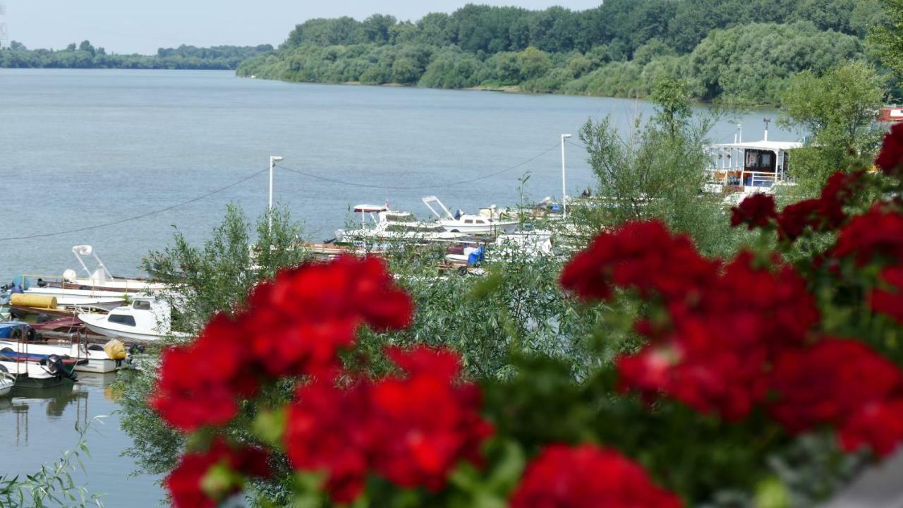 B&B Posejdon Sremska Mitrovica Esterno foto